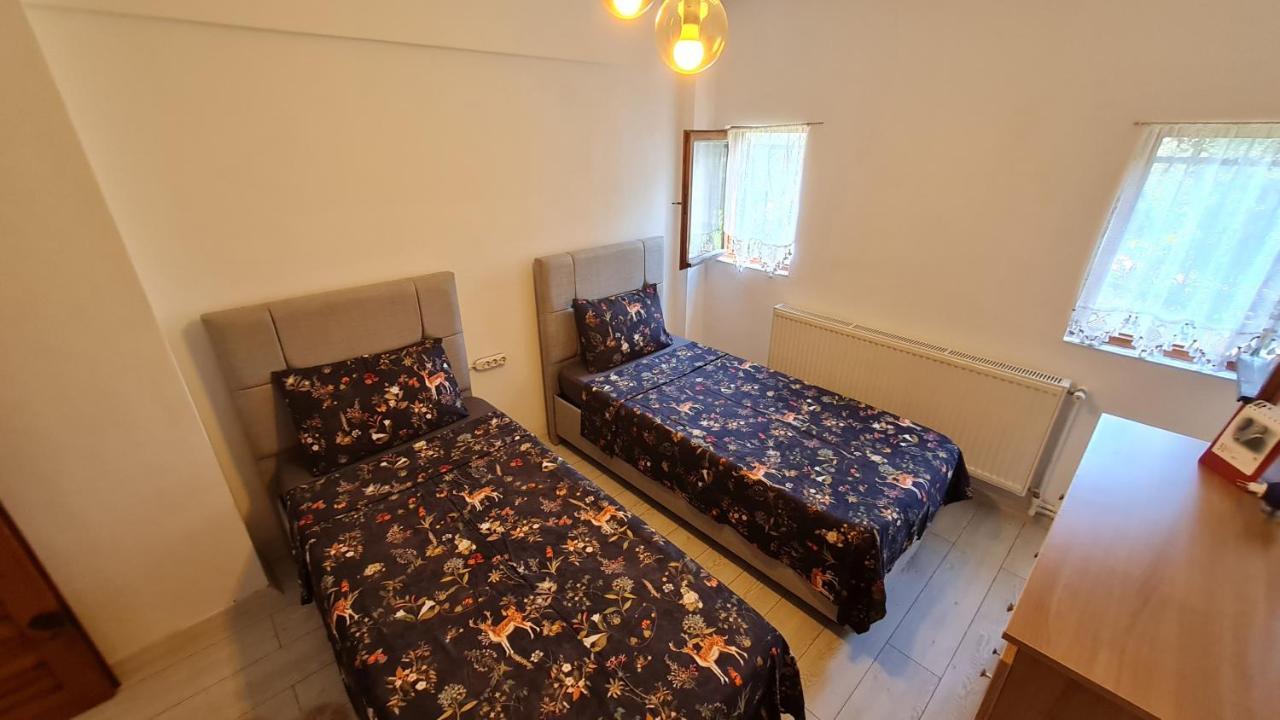 Antik House Iznik Βίλα Εξωτερικό φωτογραφία
