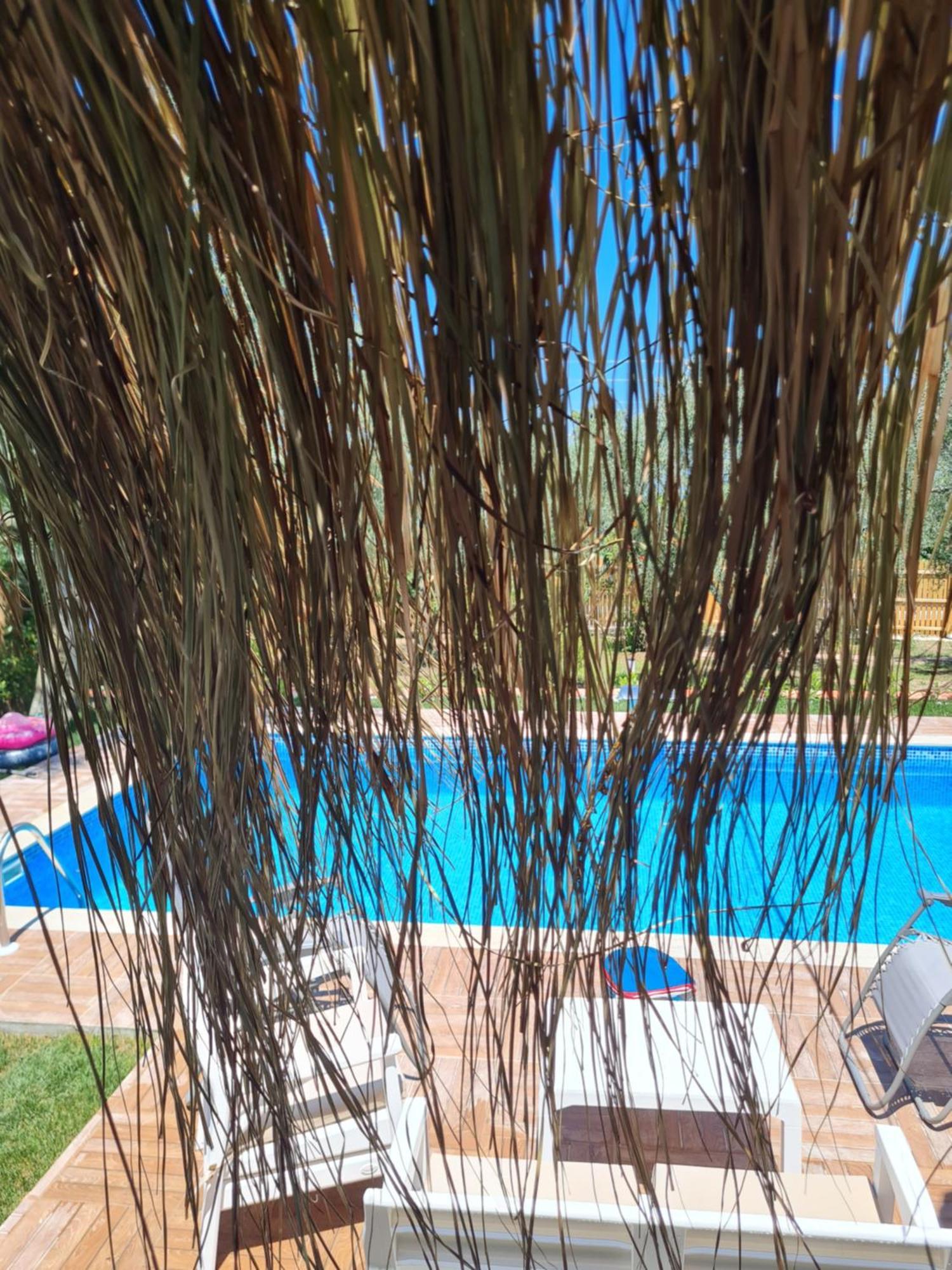 Antik House Iznik Βίλα Εξωτερικό φωτογραφία
